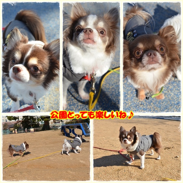 3page_20121219211530.jpg