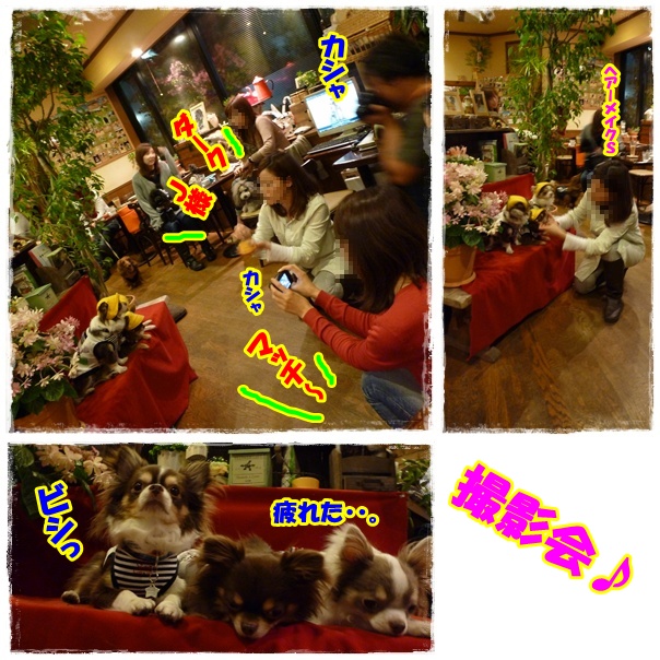 5page_20120427211651.jpg