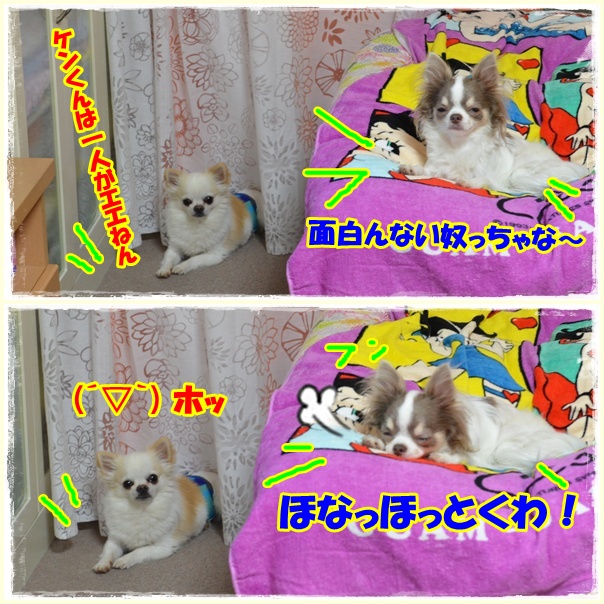 5page_20120516215325.jpg