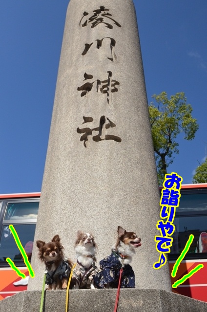 DSC_1294_20121024185758.jpg