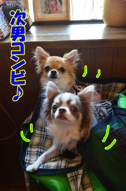 DSC_1483_20121031210017.jpg