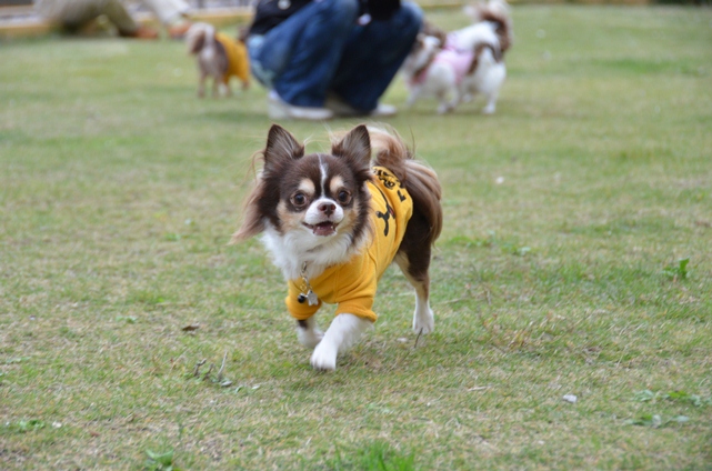 DSC_1816.jpg
