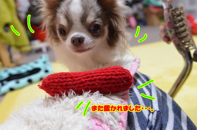 DSC_3292.jpg