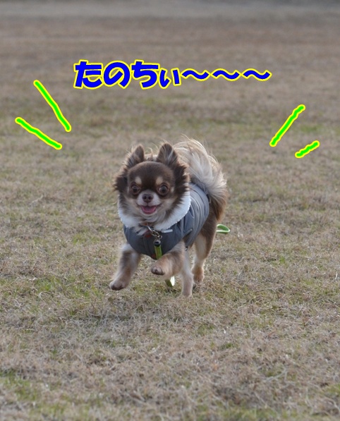 DSC_3714.jpg