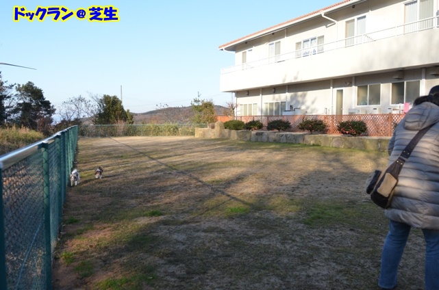 DSC_4066.jpg