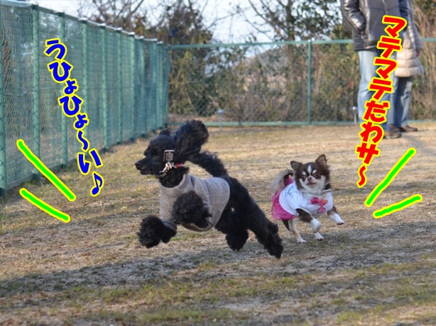 DSC_4074_20130109154633.jpg