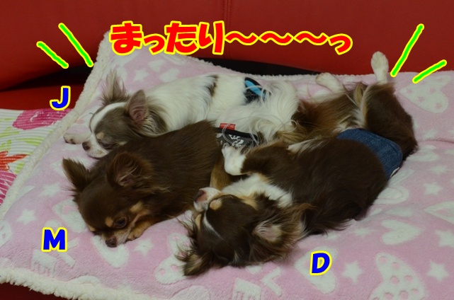 DSC_6297_20120509201549.jpg