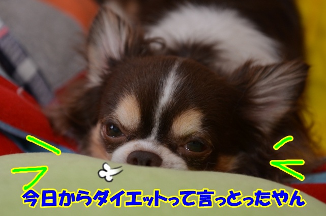 DSC_7709.jpg