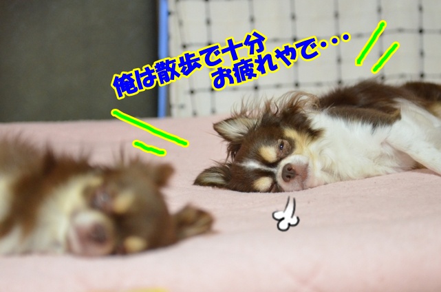 DSC_7782.jpg