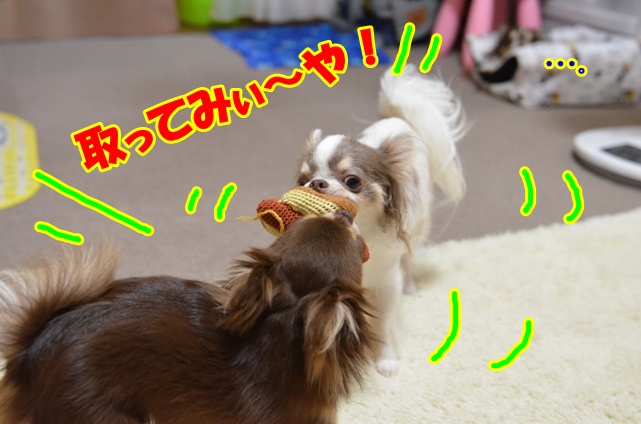DSC_7926.jpg