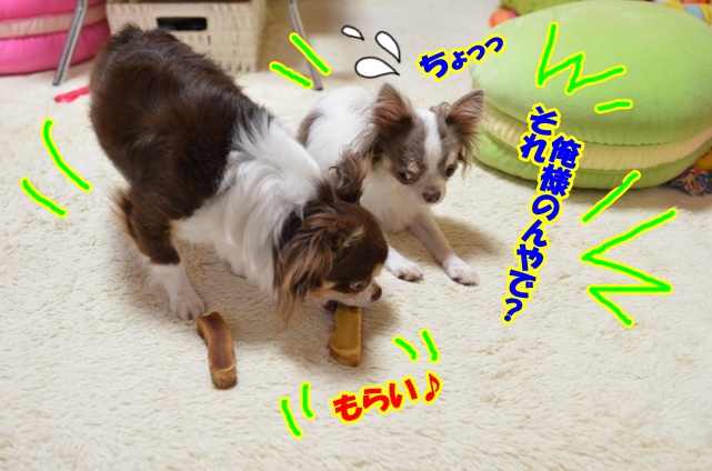 DSC_8025.jpg