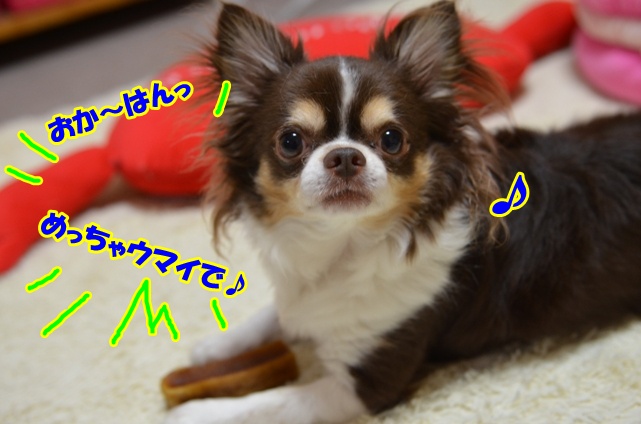 DSC_8141.jpg