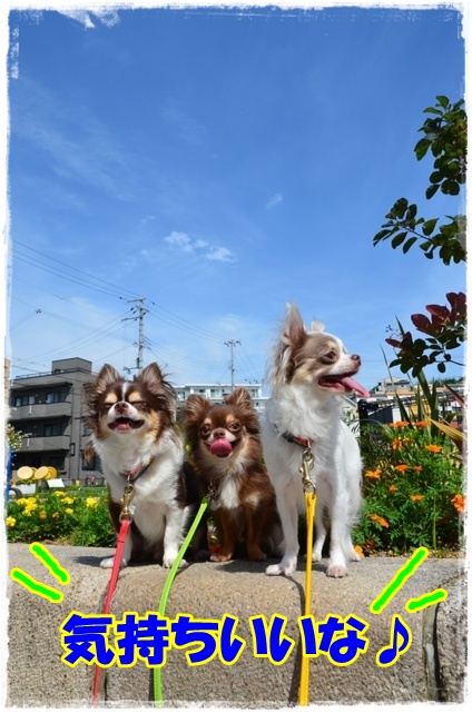 DSC_8201.jpg