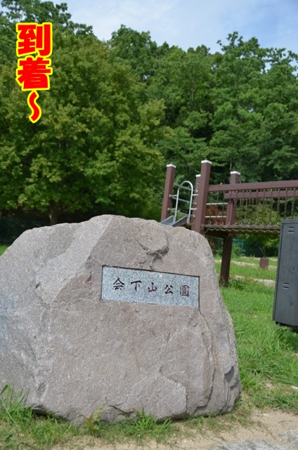 DSC_8233_20120712221032.jpg