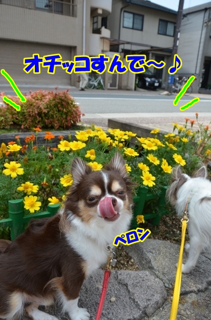 DSC_8670.jpg