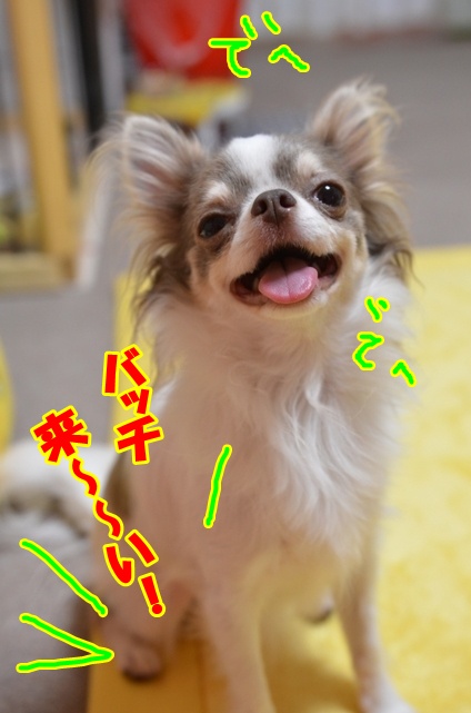 DSC_8841.jpg