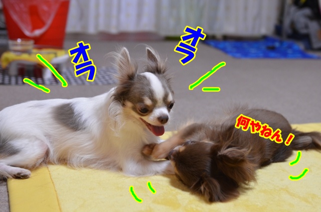 DSC_8860.jpg
