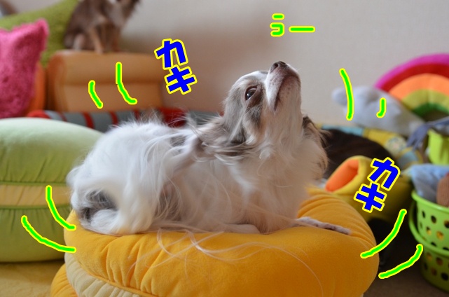 DSC_8918.jpg