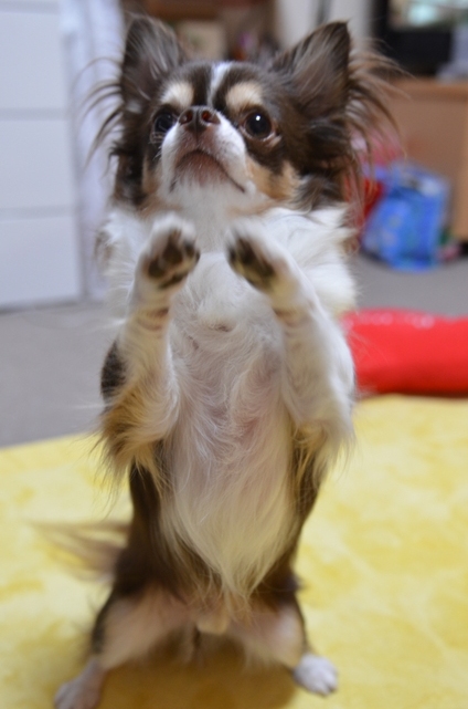 DSC_9048.jpg
