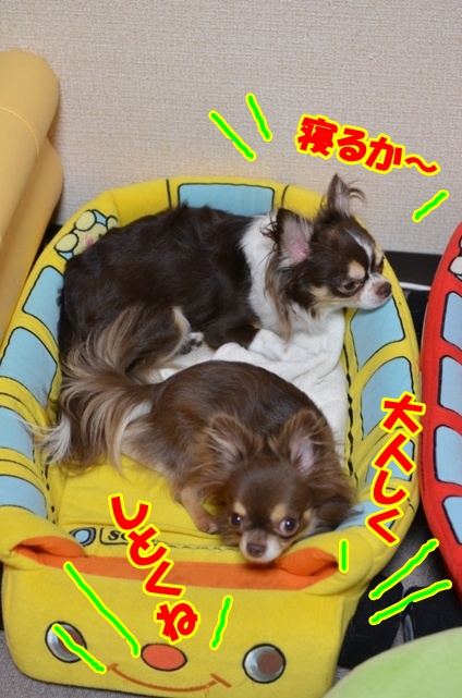 DSC_9366.jpg