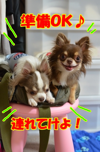 DSC_9372.jpg