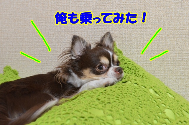 DSC_9486_20120905195934.jpg