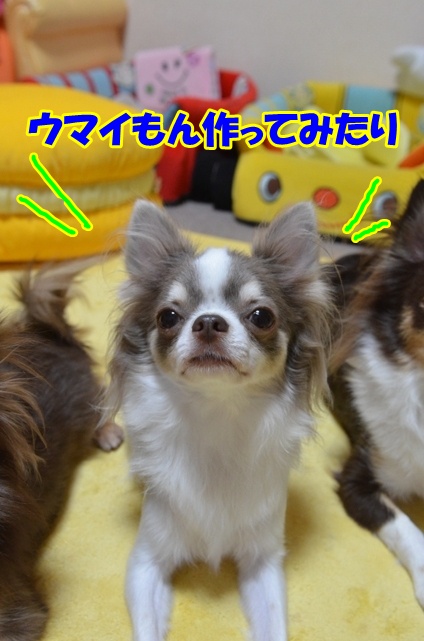 DSC_9621.jpg