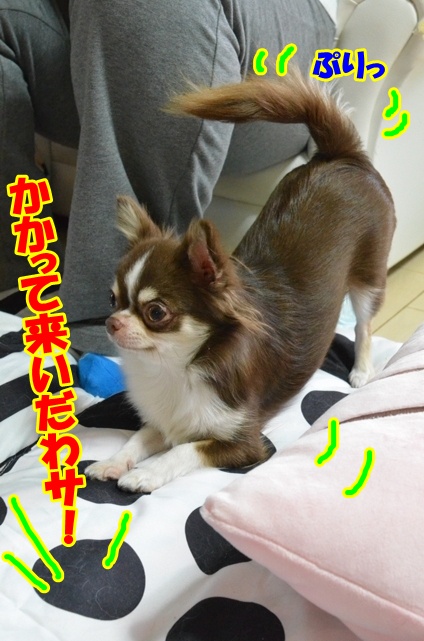 DSC_9918.jpg