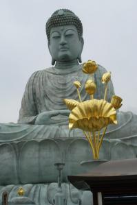 sCIMG0928.jpg