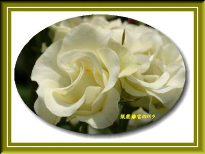 sIMG_0067.jpg