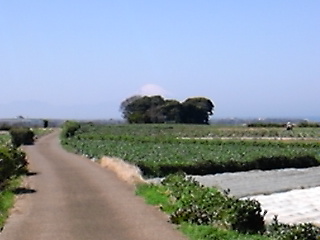2013031901.jpg