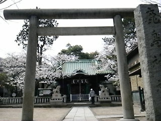 20130324001.jpg