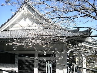 20130331002.jpg