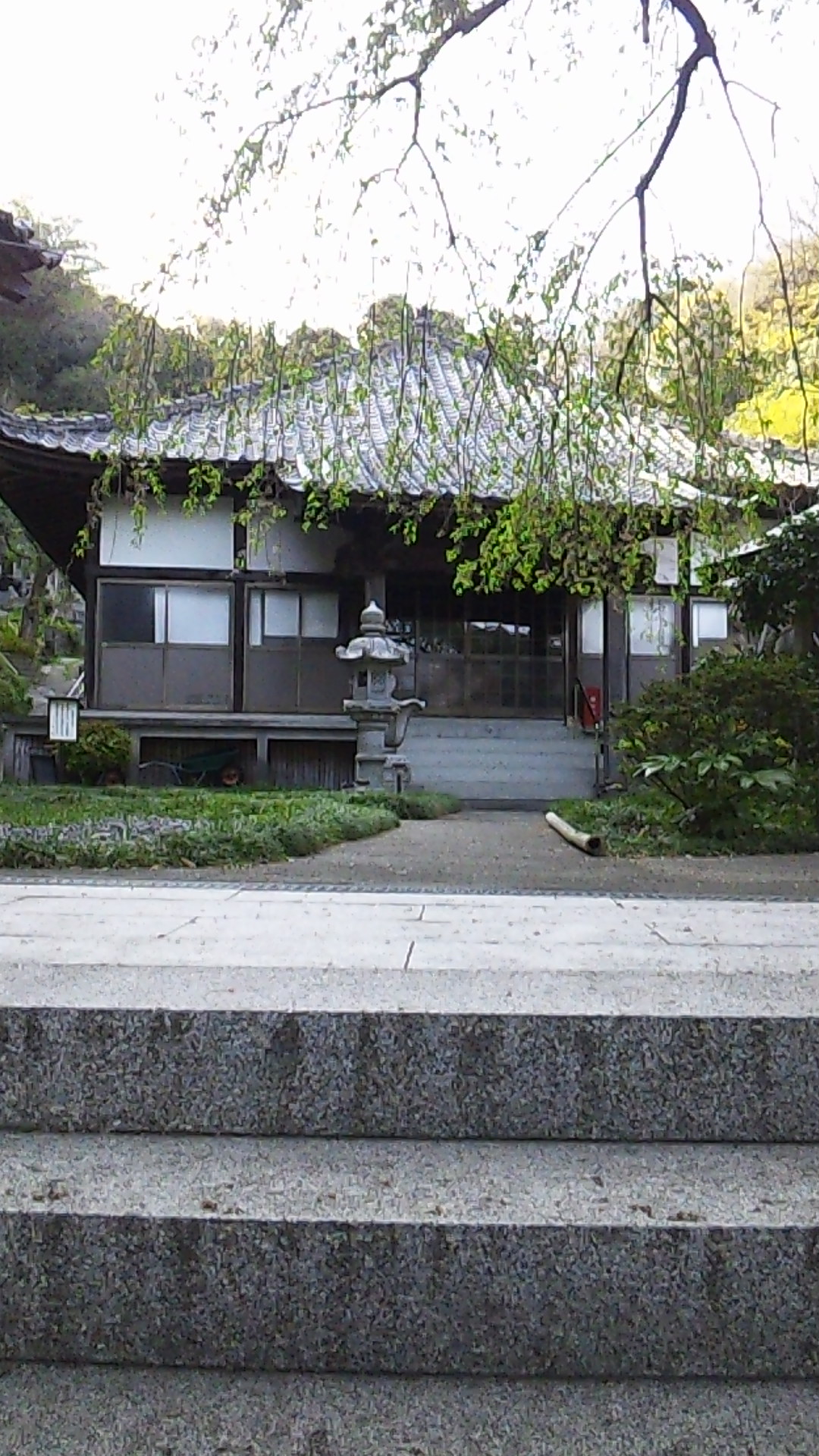 20130406101.jpg