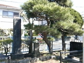 2013040803.jpg