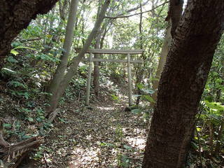 2013042701.jpg