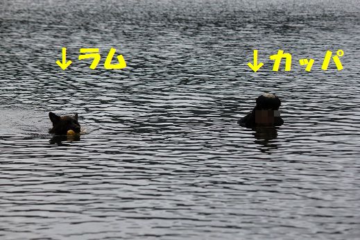 IMG_1126.jpg