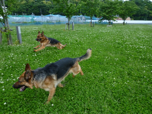 P1010300.jpg