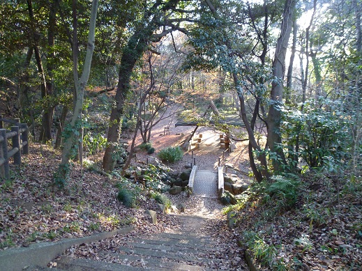 P1010793.jpg