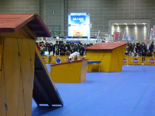 P1010799.jpg