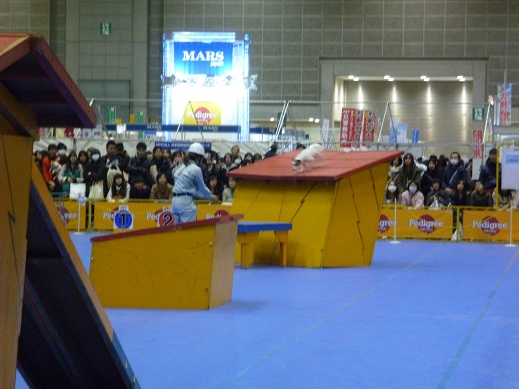 P1010802.jpg