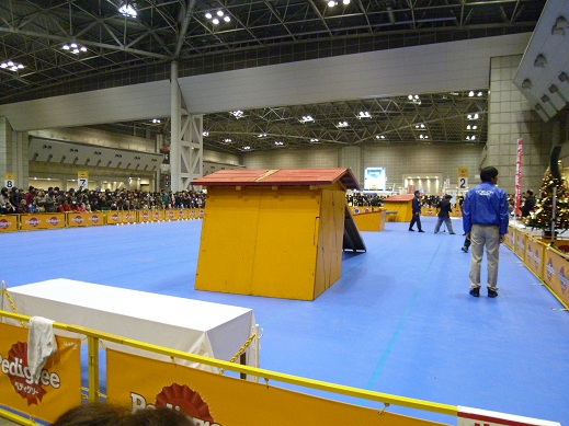 P1010803.jpg