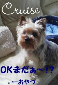 2012062509150000_convert_20120709095026.jpg