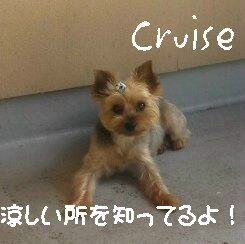 2012073008300000.jpg