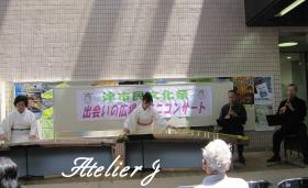 IMG_1328_convert_20120523235304.jpg