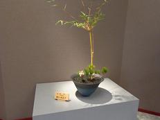 ブログ12生け花