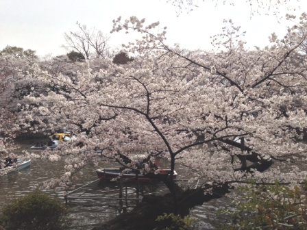 写真(8)