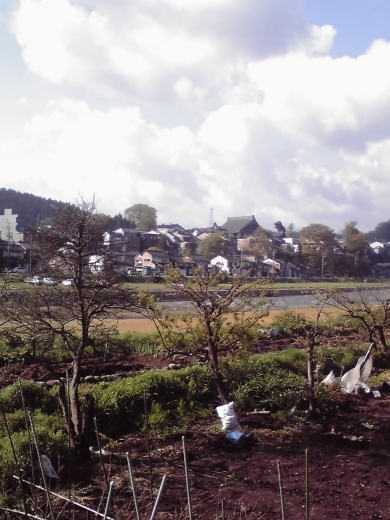 井田川河畔6