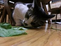201208251001.jpg