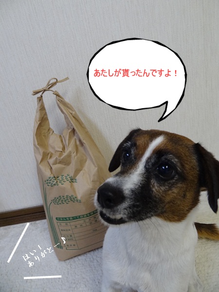 DSC01152.jpg